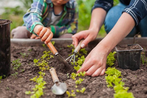 Skilled Garden Worker